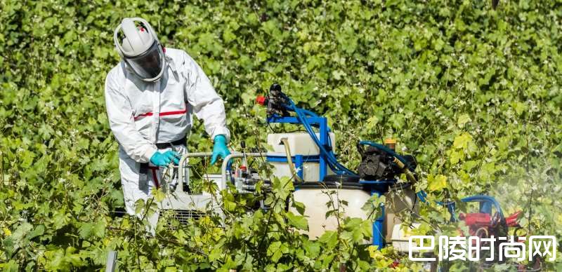 波尔多：希望未来能杜绝农药