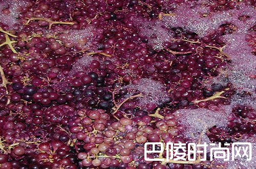 何为二氧化碳浸渍法？