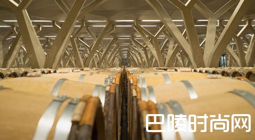 葡萄酒里的单宁来自哪里？