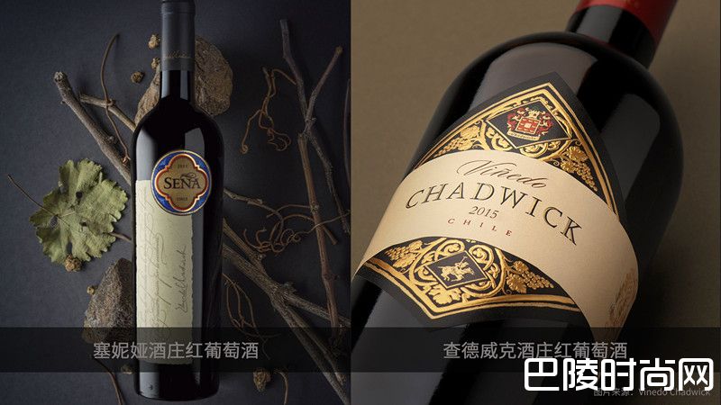 《醇鉴》2018年度人物：爱德华多·查德威克