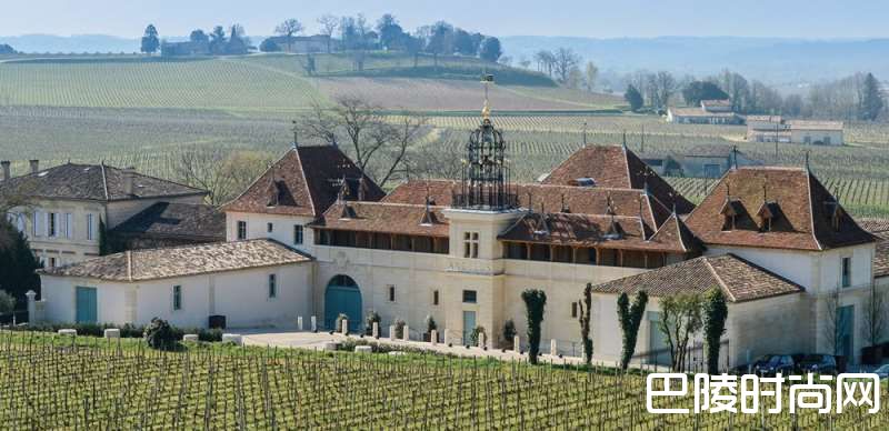 金钟酒庄将开始有机葡萄种植