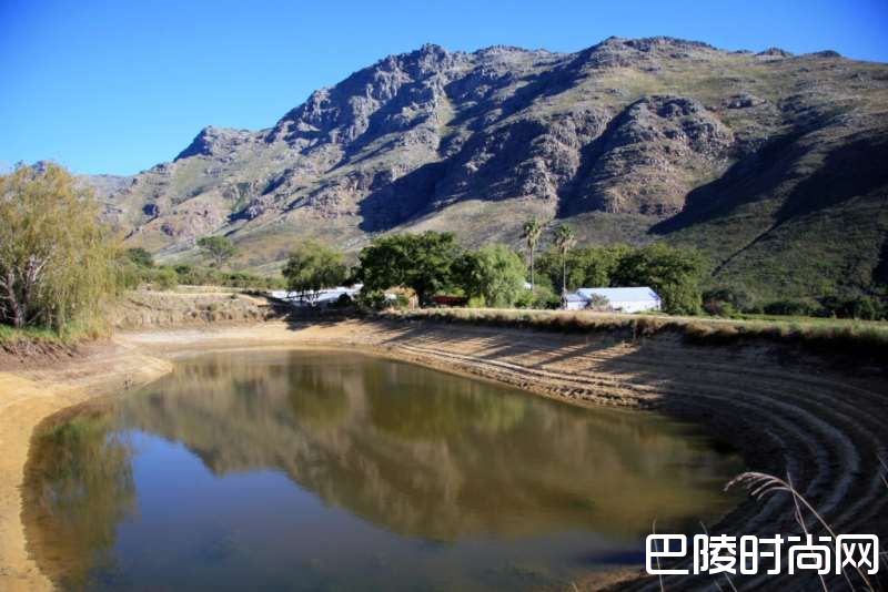 开普敦水荒，南非葡萄酒何去何从？