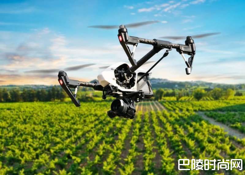 知识小测，葡萄酒背后的高科技