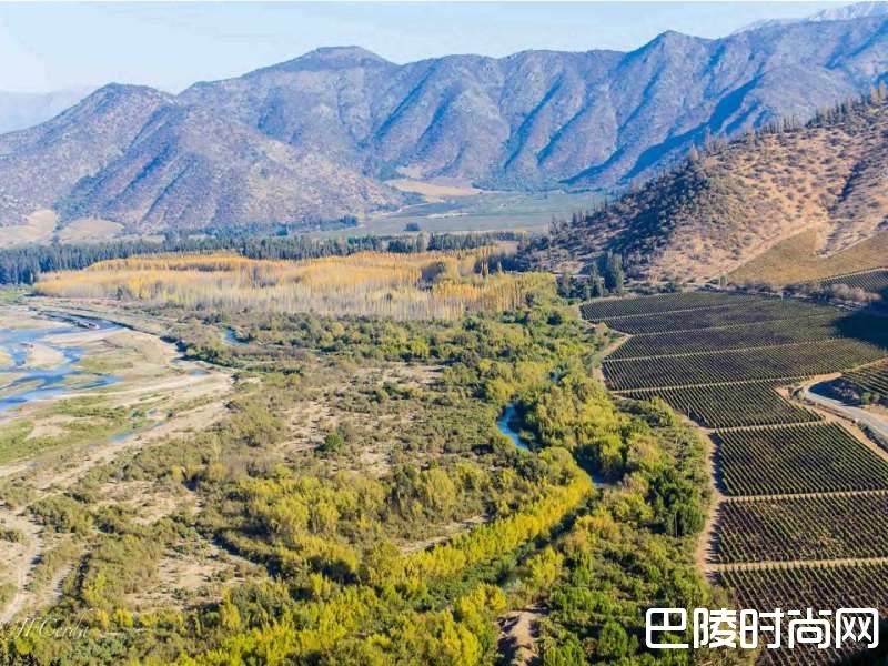 “南美洲的波尔多”——智利迈坡谷