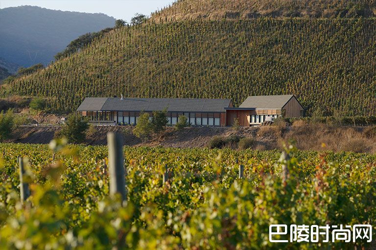 “南美洲的波尔多”——智利迈坡谷