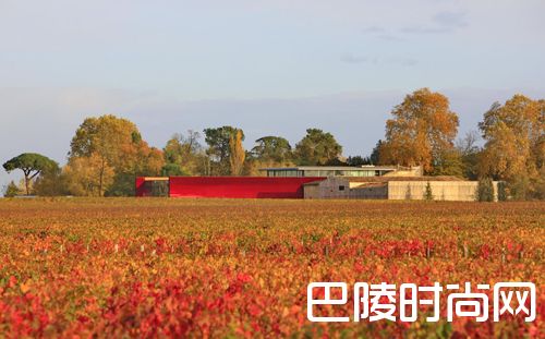 红酒世界直播预告：多米尼克城堡的红色艺术