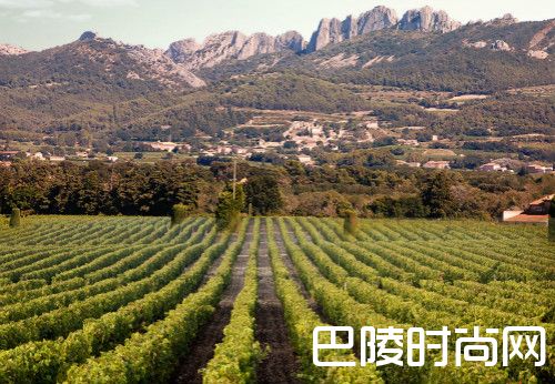 罗讷河谷不容忽视的小众产区