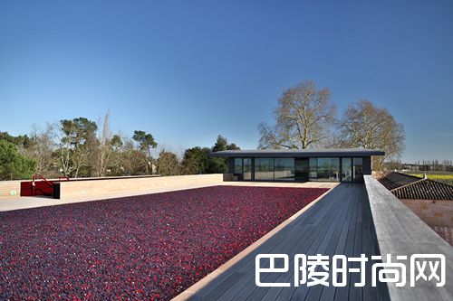 红酒世界直播预告：多米尼克城堡的红色艺术