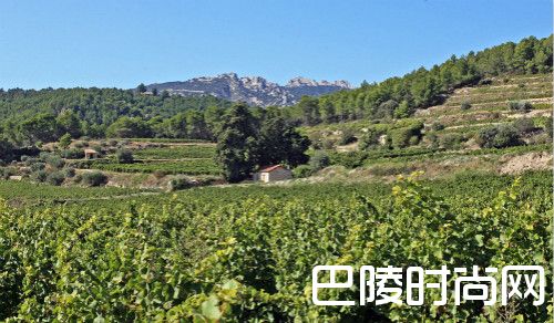 罗讷河谷不容忽视的小众产区