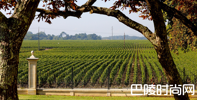 杜扎克城堡将生产素食葡萄酒