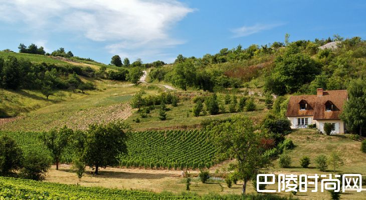 哈特“勃艮第庆典”拍卖会预计实现650万美元成交额