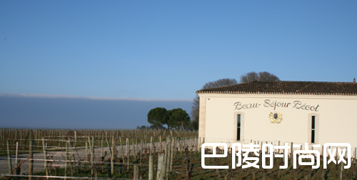 红酒世界直播预告：圣埃美隆一级B等酒庄博塞贝戈