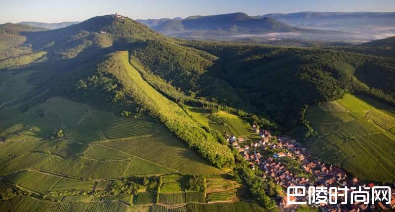 雷司令经典产区知多少? 雷司令经典产区知多少?