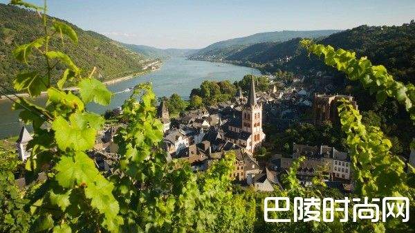 雷司令经典产区知多少？