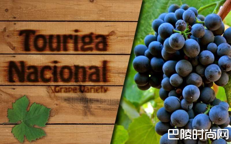葡萄牙杜奥葡萄酒产区