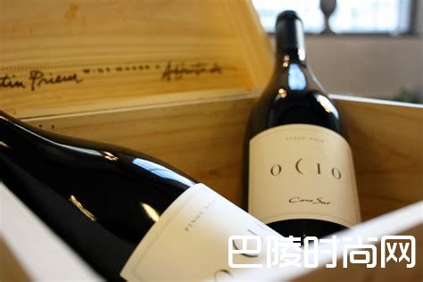 智利葡萄酒的守护者——“十八罗汉” 智利葡萄酒的守护者——“十八罗汉”