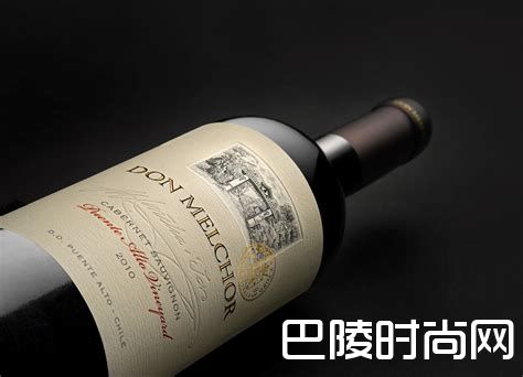 智利葡萄酒的守护者——“十八罗汉” 智利葡萄酒的守护者——“十八罗汉”