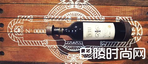 智利葡萄酒的守护者&mdash;&mdash;&ldquo;十八罗汉&rdquo;