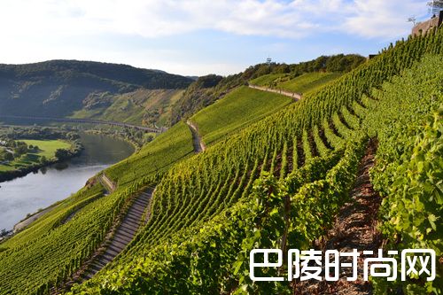 德国葡萄酒小测 德国葡萄酒小测