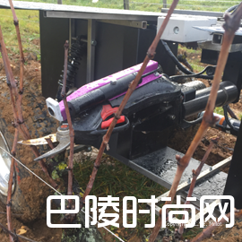 新发明，葡萄剪枝机器人