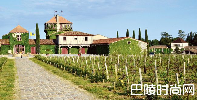 史密斯拉菲特酒庄：2017，白葡萄酒的丰年