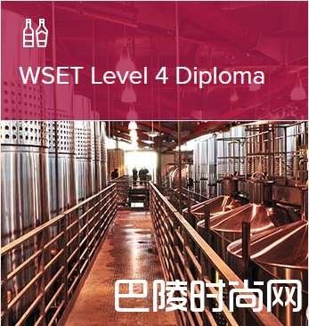 什么是WSET？