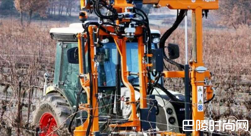 新发明，葡萄剪枝机器人
