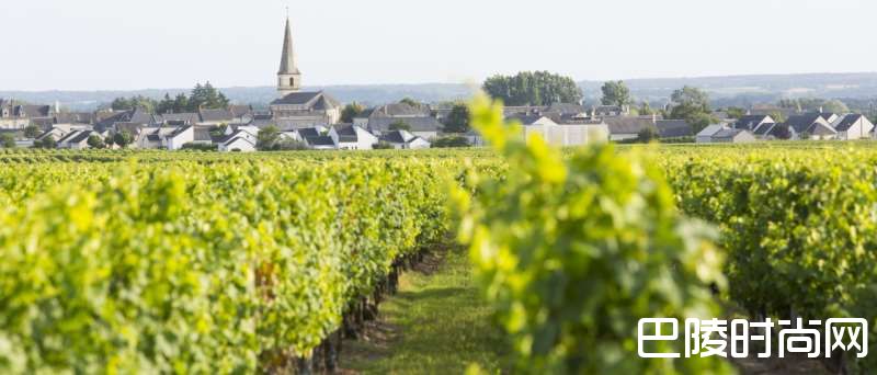 卢瓦尔河谷知识小测 卢瓦尔河谷知识小测