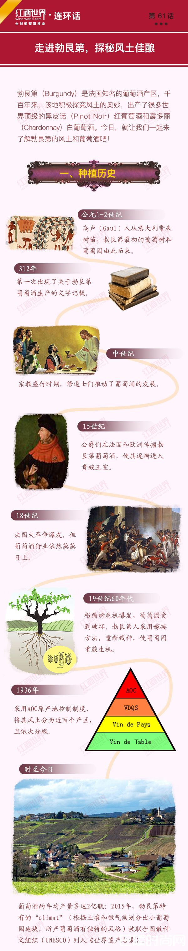 红酒世界连环话：走进勃艮第，探秘风土佳酿