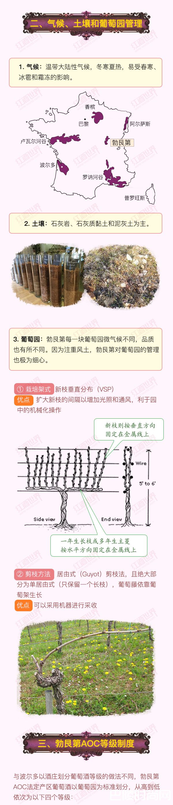 红酒世界连环话：走进勃艮第，探秘风土佳酿