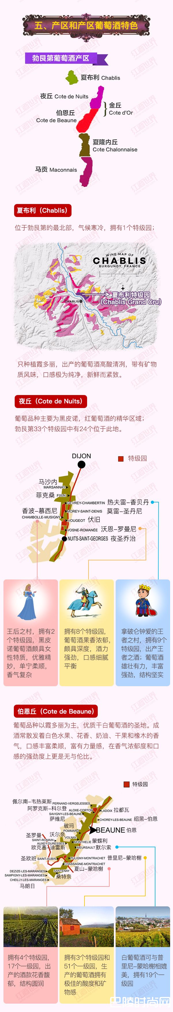 红酒世界连环话：走进勃艮第，探秘风土佳酿