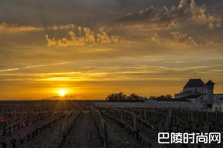 露桐家族的葡萄酒帝国