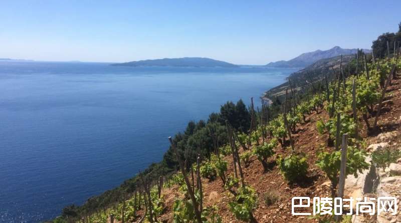 普拉瓦茨马里：小果粒有大滋味