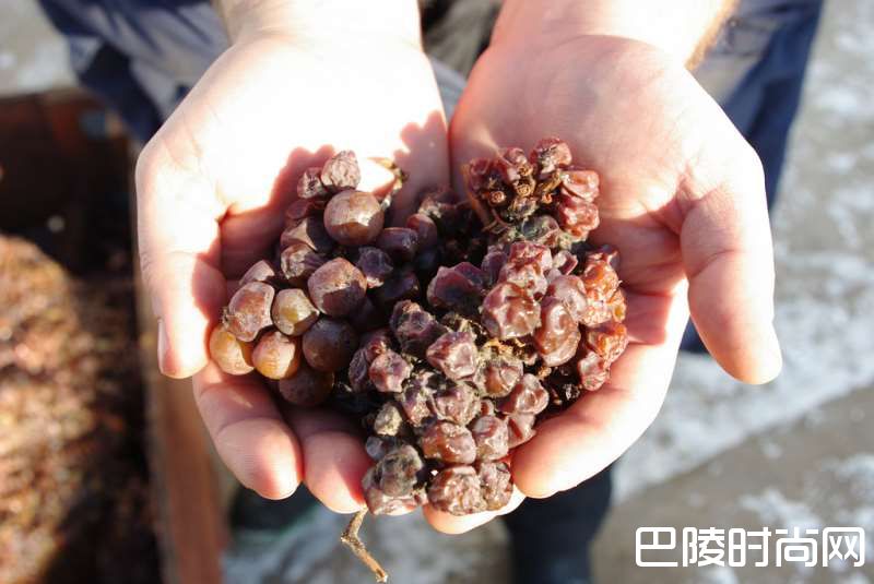 德国葡萄酒常见术语汇总