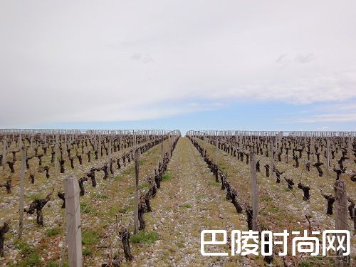 葡萄酒的年份意味着什么？