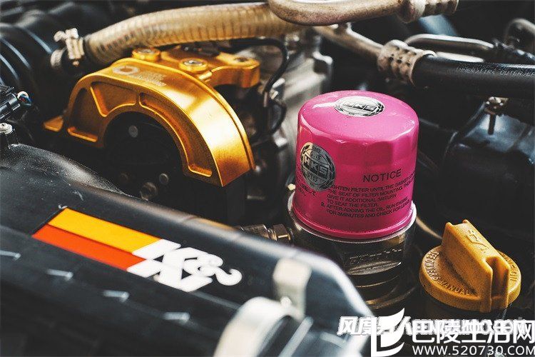 从尾部看去，火箭兔宽体带来的加宽效果具有强烈的视觉冲击感