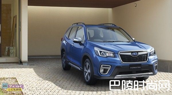 斯巴鲁森林人照片