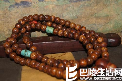 老星月菩提图片鉴赏 什么样的星月菩提最好?