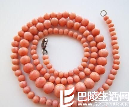 红珊瑚的三大品种与图片鉴赏