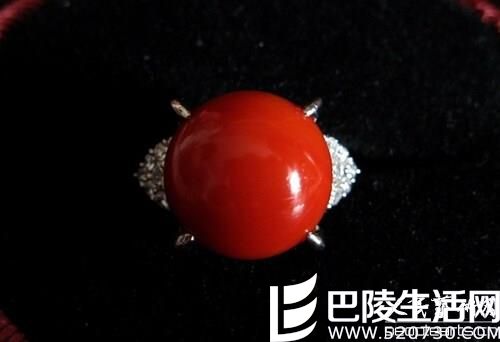 红珊瑚的三大品种与图片鉴赏