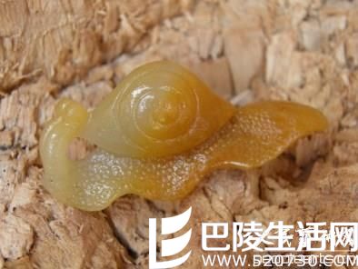 什么是磨砂黄龙玉?磨砂黄龙玉图片欣赏 什么是磨砂黄龙玉?磨砂黄龙玉图片欣赏