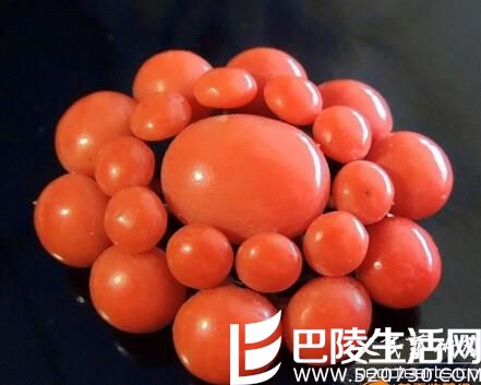 红珊瑚的三大品种与图片鉴赏