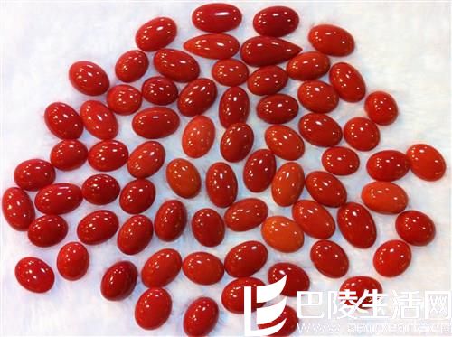 红珊瑚的三大品种与图片鉴赏