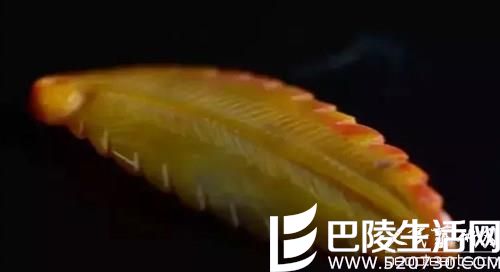 战国红玛瑙精品雕件树叶吊坠图片欣赏