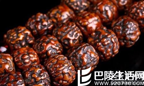 什么是老金刚菩提子?老金刚菩提子好不好? 什么是老金刚菩提子?老金刚菩提子好不好?