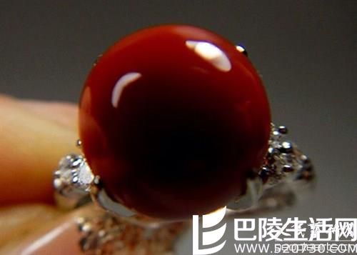 红珊瑚的三大品种与图片鉴赏