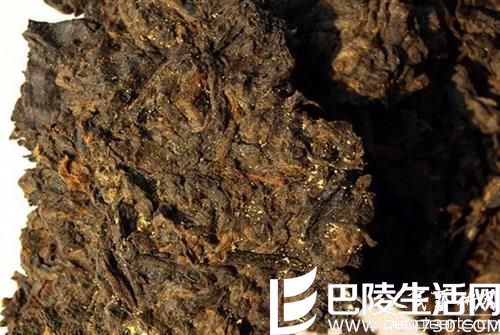 普洱茶上的金花和茯砖茶上的金花相同吗？金花普洱茶对...