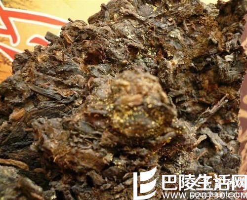 普洱茶上的金花和茯砖茶上的金花相同吗？金花普洱茶对...