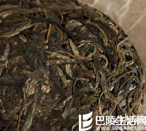为什么普洱茶生茶需要长期保存的时候不会有散茶