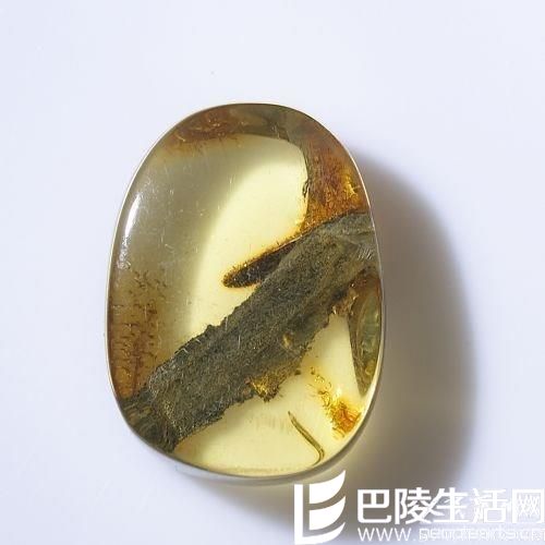 缅甸植物珀有什么价值
